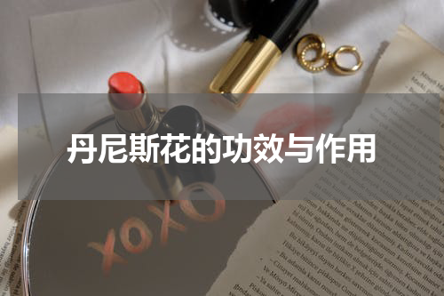 丹尼斯花的功效与作用