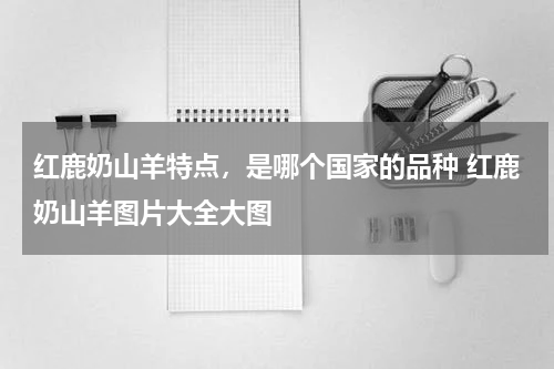 红鹿奶山羊特点，是哪个国家的品种 红鹿奶山羊图片大全大图