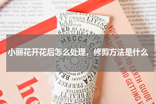 小丽花开花后怎么处理，修剪方法是什么