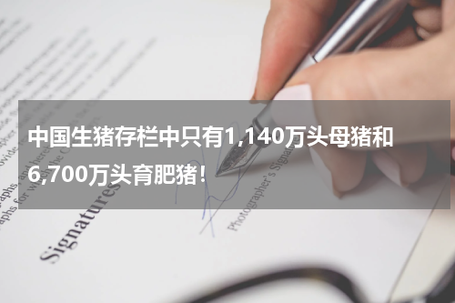 中国生猪存栏中只有1,140万头母猪和6,700万头育肥猪！