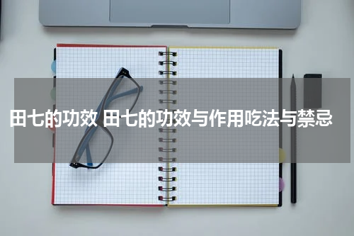 田七的功效 田七的功效与作用吃法与禁忌