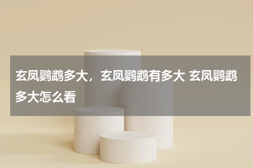 玄凤鹦鹉多大，玄凤鹦鹉有多大 玄凤鹦鹉多大怎么看