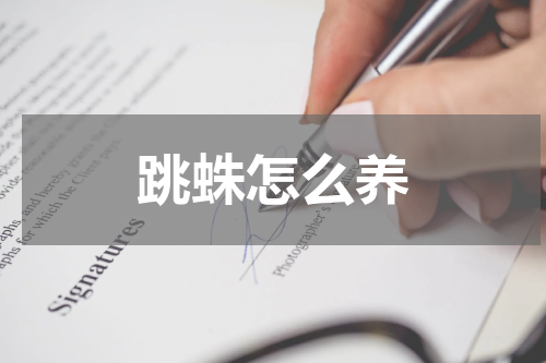 跳蛛怎么养