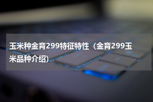 玉米种金育299特征特性（金育299玉米品种介绍）