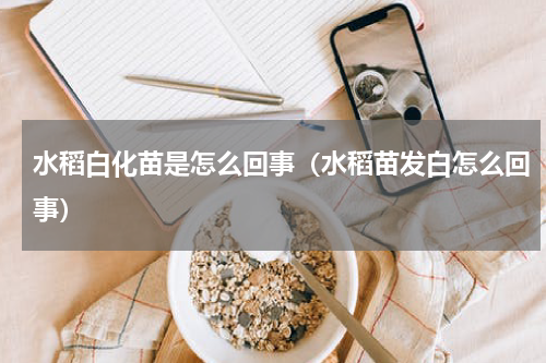 水稻白化苗是怎么回事（水稻苗发白怎么回事）