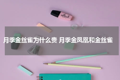 月季金丝雀为什么贵 月季金凤凰和金丝雀