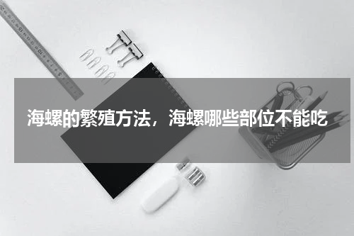 海螺的繁殖方法，海螺哪些部位不能吃