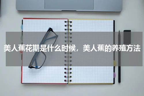 美人蕉花期是什么时候，美人蕉的养殖方法