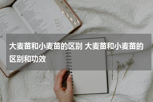 大麦苗和小麦苗的区别 大麦苗和小麦苗的区别和功效
