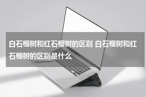 白石榴树和红石榴树的区别 白石榴树和红石榴树的区别是什么