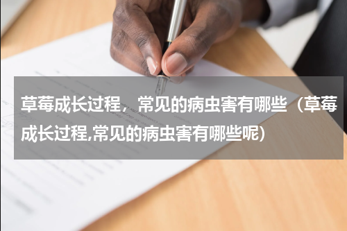 草莓成长过程，常见的病虫害有哪些（草莓成长过程,常见的病虫害有哪些呢）