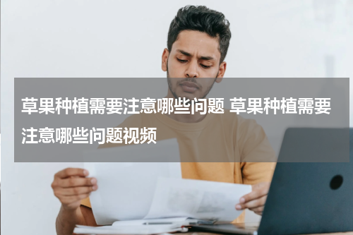 草果种植需要注意哪些问题 草果种植需要注意哪些问题视频