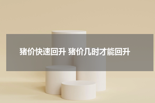 猪价快速回升 猪价几时才能回升