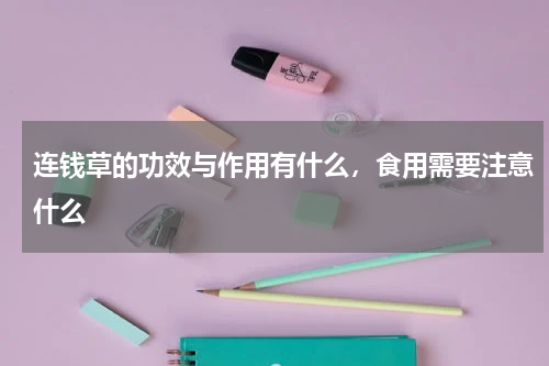 连钱草的功效与作用有什么，食用需要注意什么