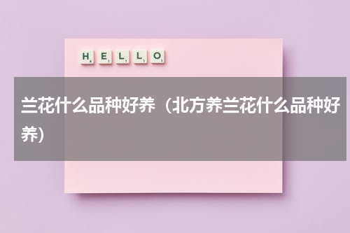兰花什么品种好养（北方养兰花什么品种好养）