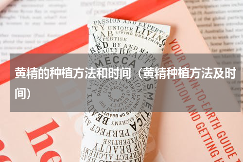黄精的种植方法和时间（黄精种植方法及时间）
