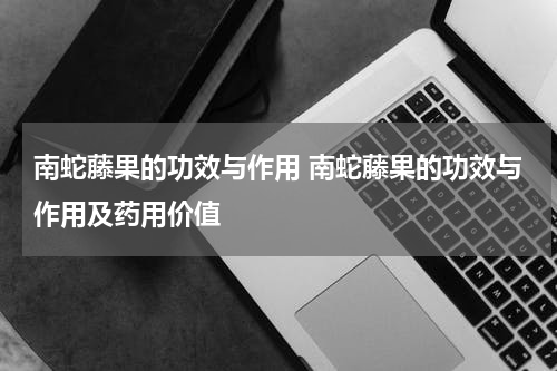 南蛇藤果的功效与作用 南蛇藤果的功效与作用及药用价值