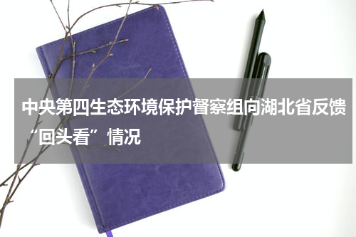 中央第四生态环境保护督察组向湖北省反馈“回头看”情况