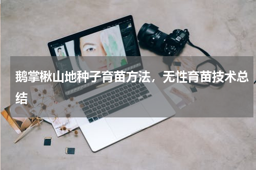 鹅掌楸山地种子育苗方法，无性育苗技术总结