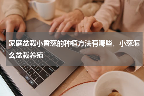 家庭盆栽小香葱的种植方法有哪些，小葱怎么盆栽养殖
