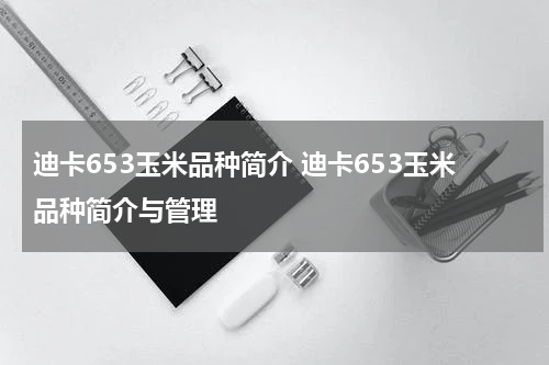 迪卡653玉米品种简介 迪卡653玉米品种简介与管理
