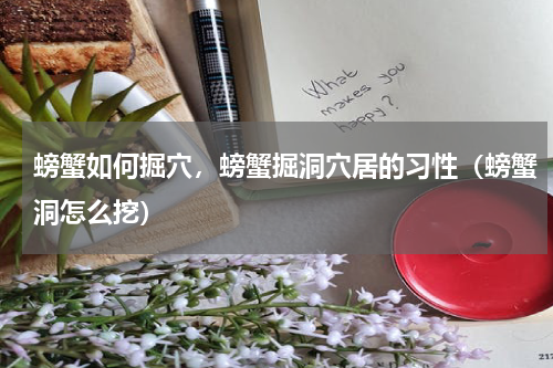 螃蟹如何掘穴，螃蟹掘洞穴居的习性（螃蟹洞怎么挖）
