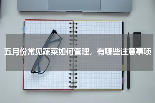 五月份常见蔬菜如何管理，有哪些注意事项