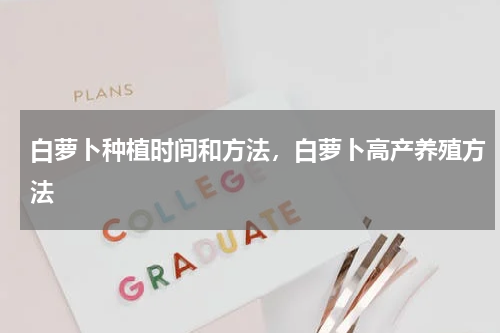 白萝卜种植时间和方法，白萝卜高产养殖方法