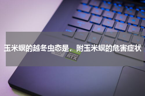 玉米螟的越冬虫态是，附玉米螟的危害症状