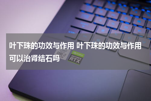 叶下珠的功效与作用 叶下珠的功效与作用可以治肾结石吗