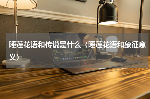 睡莲花语和传说是什么（睡莲花语和象征意义）