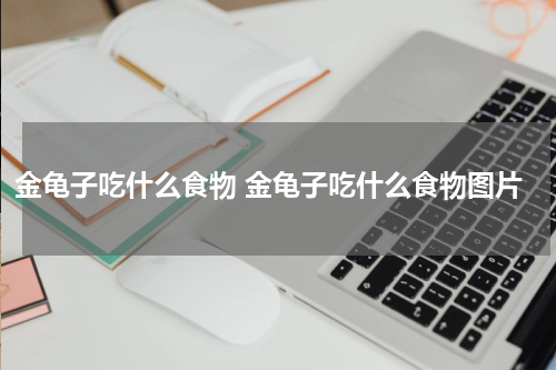 金龟子吃什么食物 金龟子吃什么食物图片