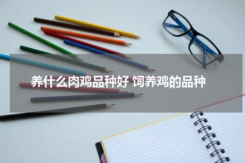养什么肉鸡品种好 饲养鸡的品种