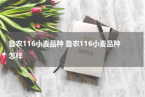 鲁农116小麦品种 鲁农116小麦品种怎样
