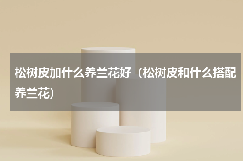 松树皮加什么养兰花好（松树皮和什么搭配养兰花）