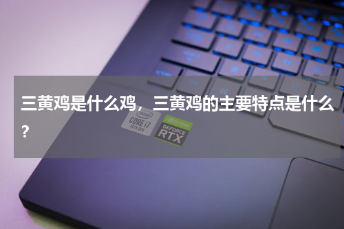 三黄鸡是什么鸡，三黄鸡的主要特点是什么？