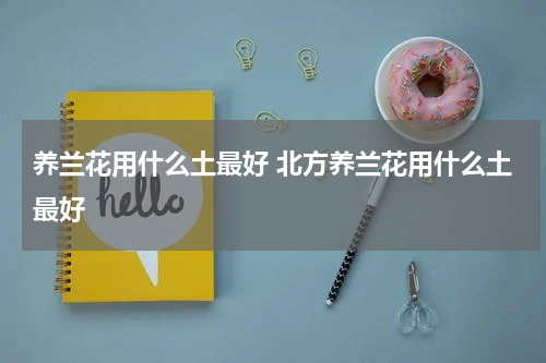 养兰花用什么土最好 北方养兰花用什么土最好