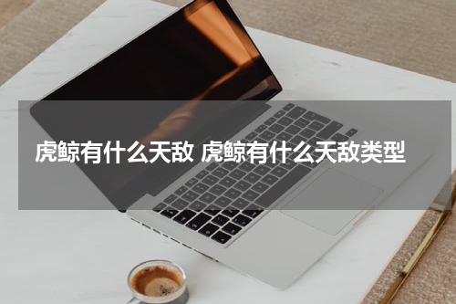 虎鲸有什么天敌 虎鲸有什么天敌类型
