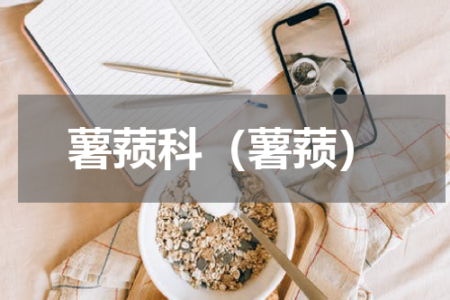 薯蓣科（薯蓣）