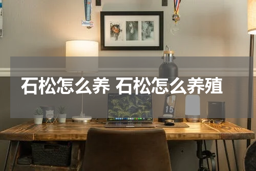 石松怎么养 石松怎么养殖