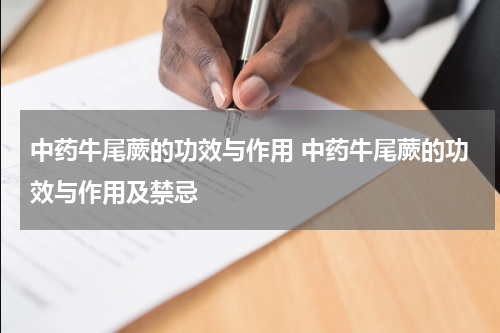 中药牛尾蕨的功效与作用 中药牛尾蕨的功效与作用及禁忌