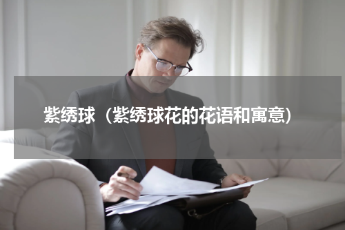 紫绣球（紫绣球花的花语和寓意）