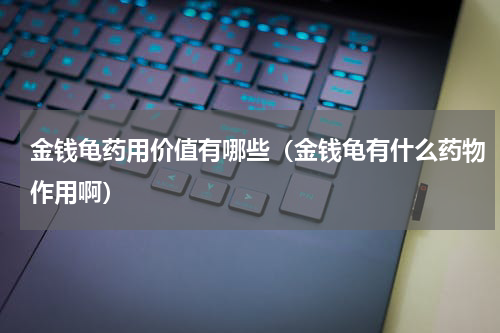 金钱龟药用价值有哪些（金钱龟有什么药物作用啊）