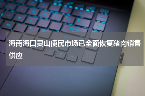 海南海口灵山便民市场已全面恢复猪肉销售供应