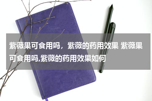 紫薇果可食用吗，紫薇的药用效果 紫薇果可食用吗,紫薇的药用效果如何