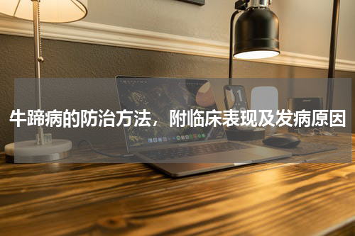 牛蹄病的防治方法，附临床表现及发病原因