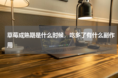 草莓成熟期是什么时候，吃多了有什么副作用