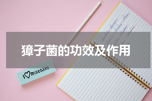 獐子菌的功效及作用