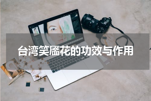 台湾笑靥花的功效与作用