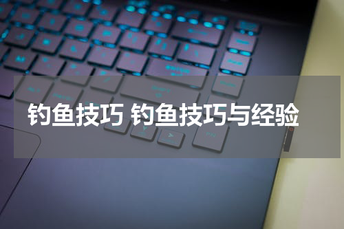 钓鱼技巧 钓鱼技巧与经验